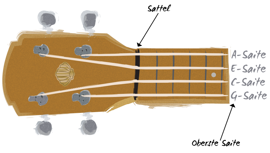 Ukulele Diagram